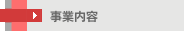 事業内容